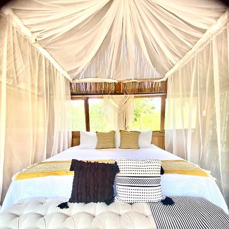 فندق Nuscaa Boutique Tree House & Spa بويرتو موريلوس المظهر الخارجي الصورة