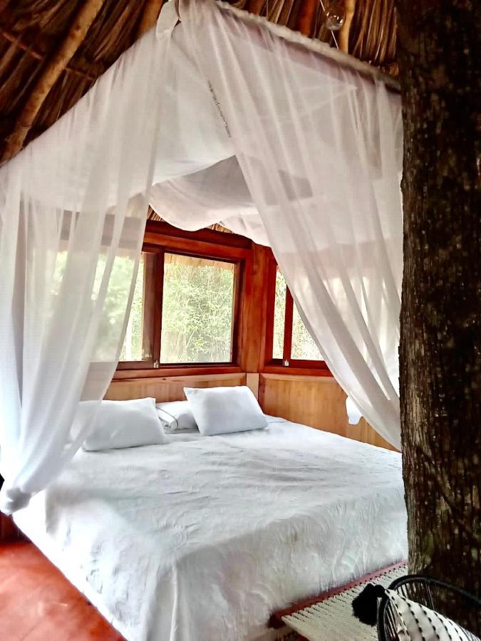 فندق Nuscaa Boutique Tree House & Spa بويرتو موريلوس المظهر الخارجي الصورة