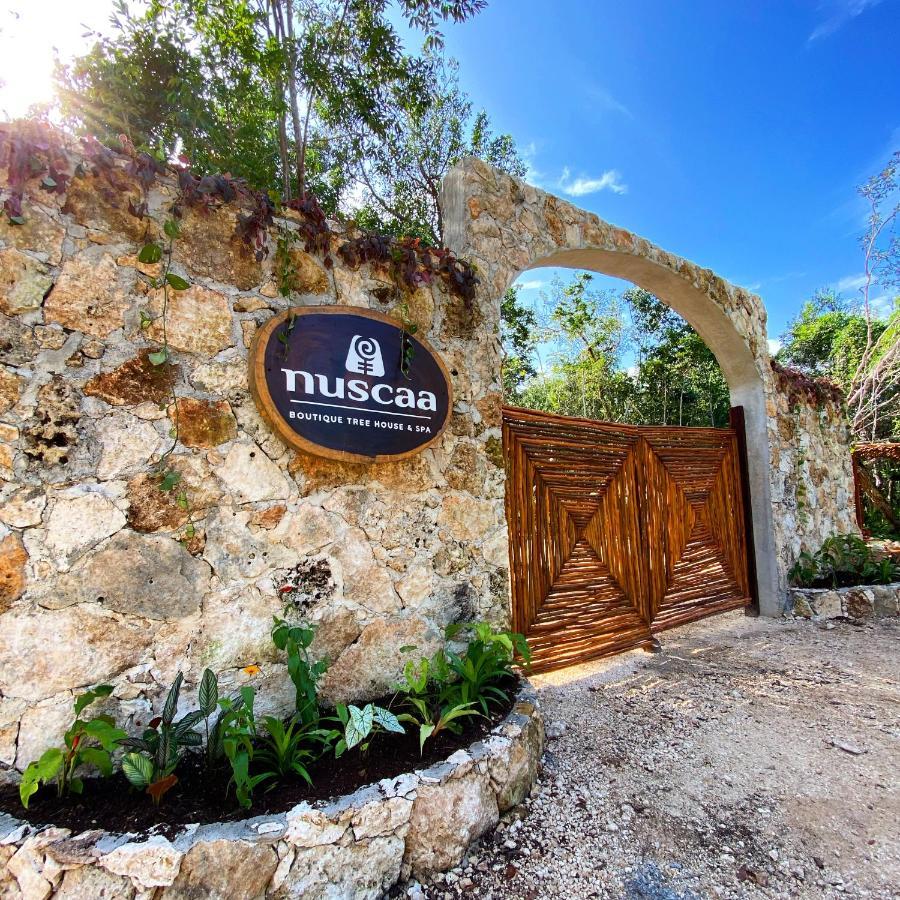 فندق Nuscaa Boutique Tree House & Spa بويرتو موريلوس المظهر الخارجي الصورة