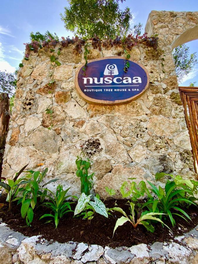 فندق Nuscaa Boutique Tree House & Spa بويرتو موريلوس المظهر الخارجي الصورة