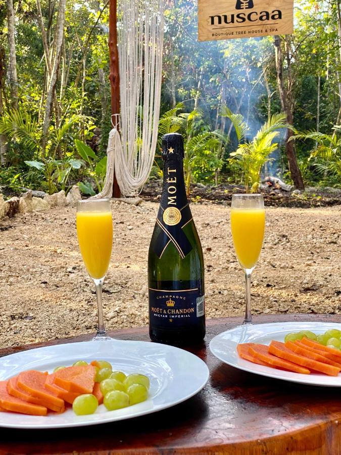 فندق Nuscaa Boutique Tree House & Spa بويرتو موريلوس المظهر الخارجي الصورة