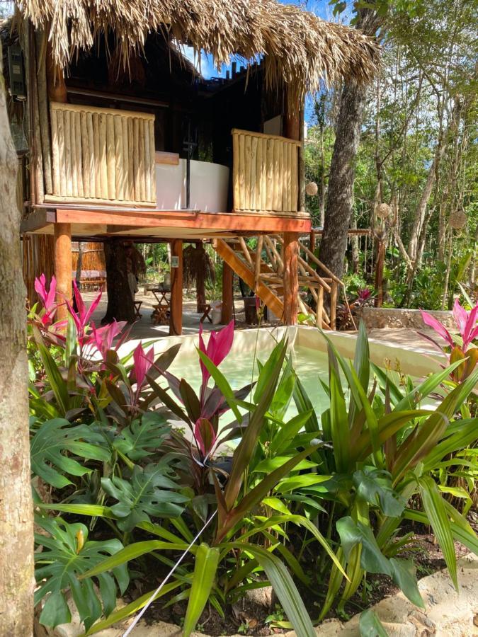 فندق Nuscaa Boutique Tree House & Spa بويرتو موريلوس المظهر الخارجي الصورة