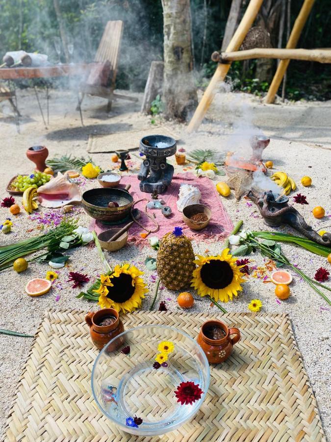 فندق Nuscaa Boutique Tree House & Spa بويرتو موريلوس المظهر الخارجي الصورة