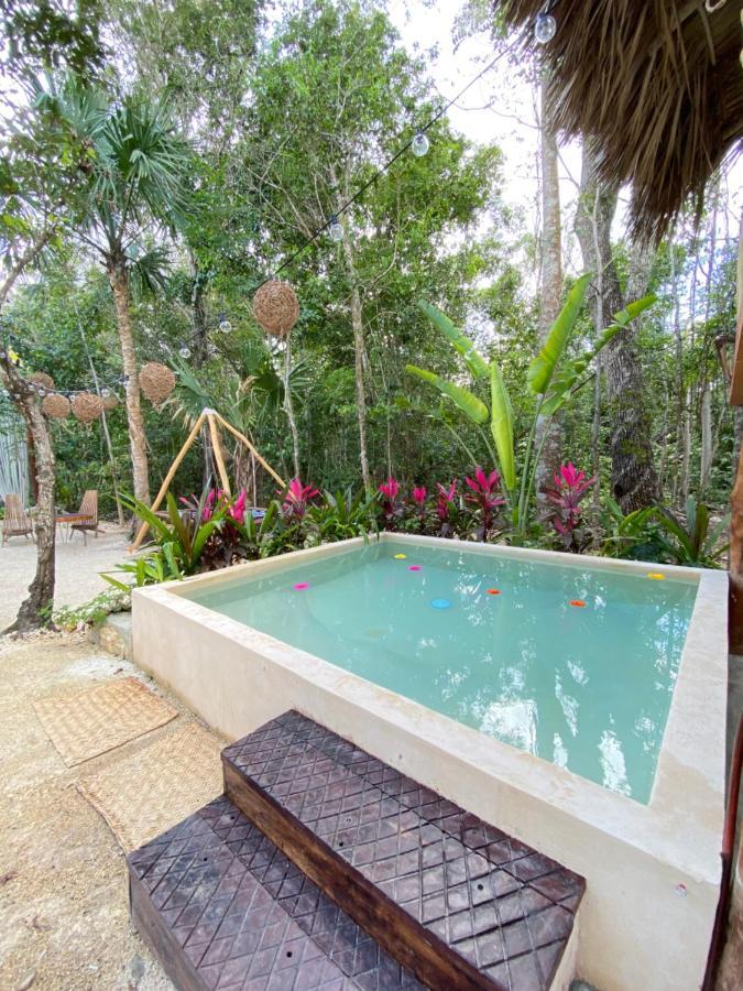 فندق Nuscaa Boutique Tree House & Spa بويرتو موريلوس المظهر الخارجي الصورة