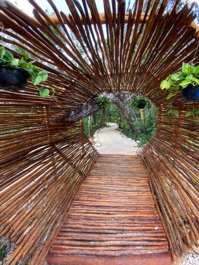 فندق Nuscaa Boutique Tree House & Spa بويرتو موريلوس المظهر الخارجي الصورة