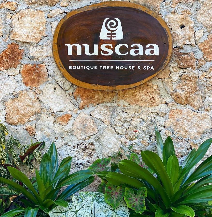 فندق Nuscaa Boutique Tree House & Spa بويرتو موريلوس المظهر الخارجي الصورة