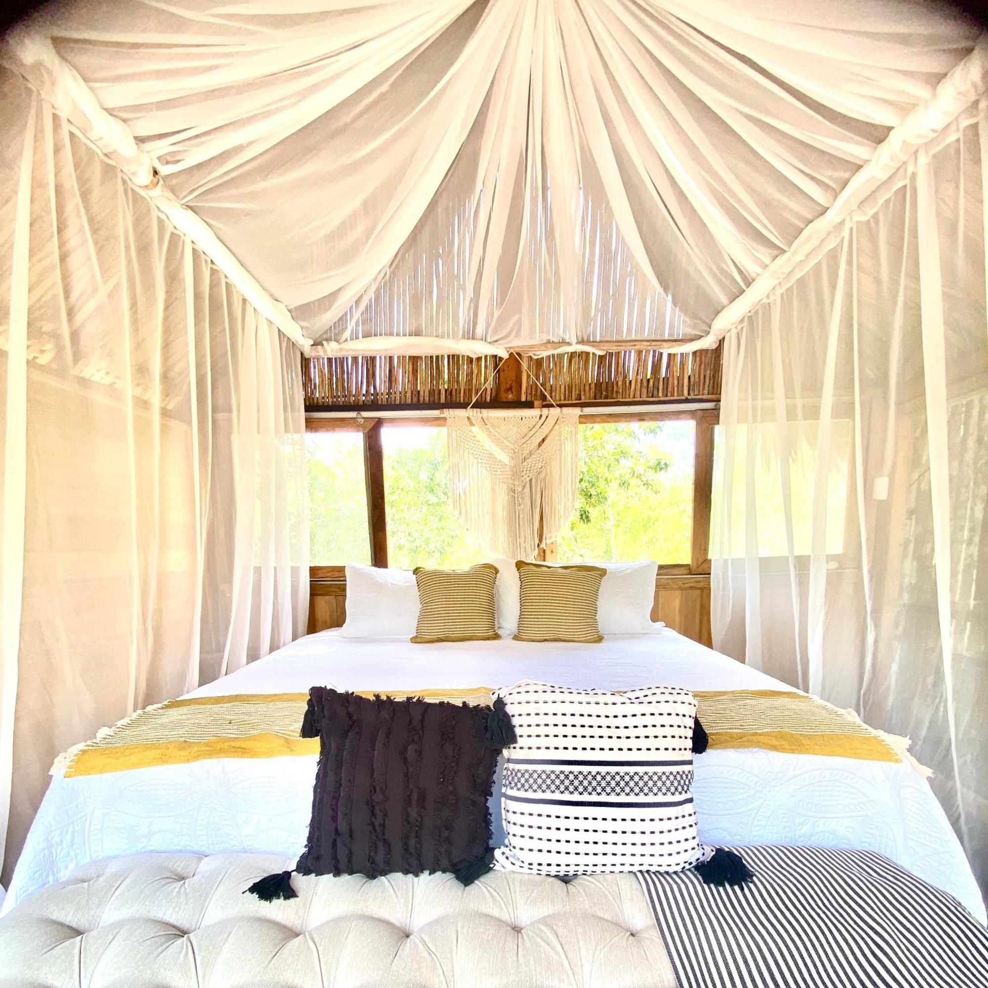 فندق Nuscaa Boutique Tree House & Spa بويرتو موريلوس المظهر الخارجي الصورة